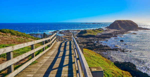 PHILLIP ISLAND TOURS