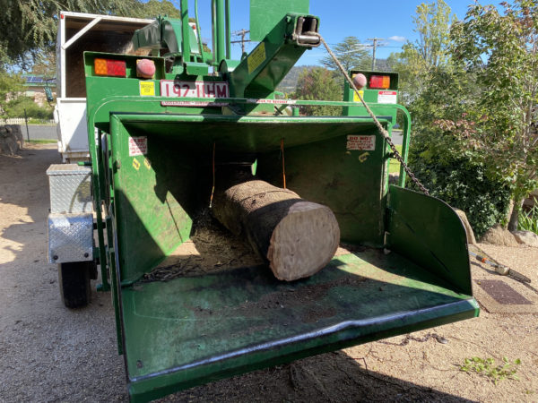 TREE REMOVAL, CHIPPING, STUMP GRINDING