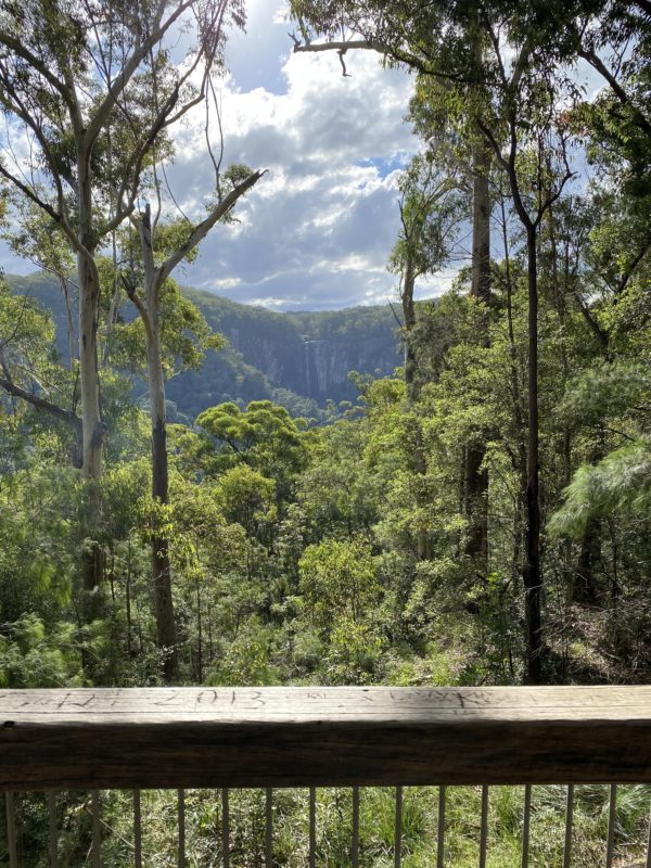 Health & Wellness Coaching