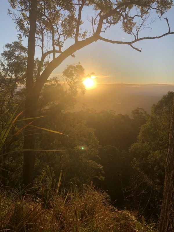 Health & Wellness Coaching