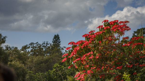 The Sanctuary Retreat Sydney