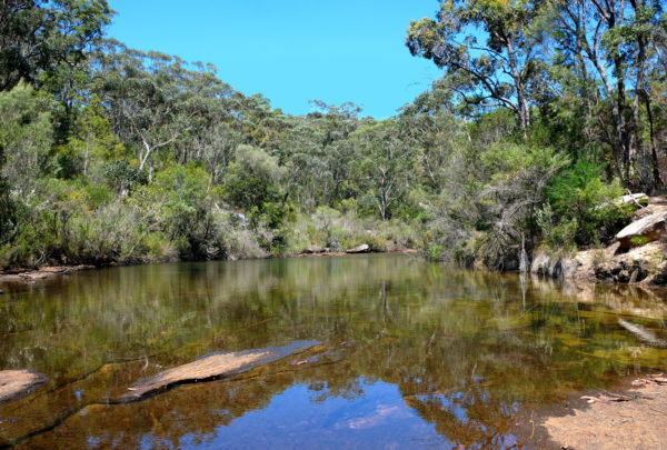 The Sanctuary Retreat Sydney