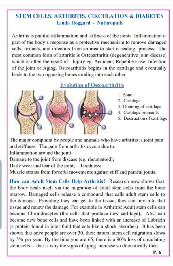 Increase your own stem cells naturally!