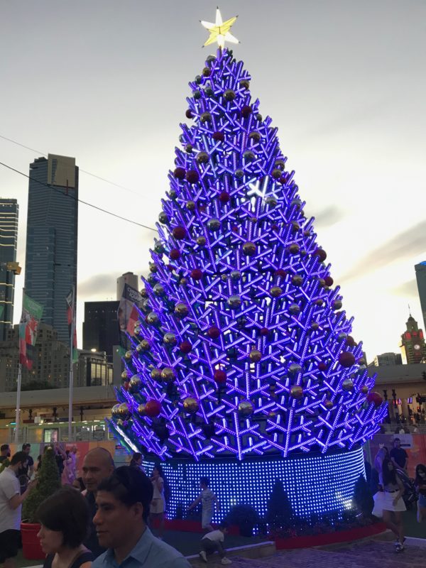 MELBOURNE BY NIGHT EXTRAORDINAIRE- with a possible local penguin viewing …