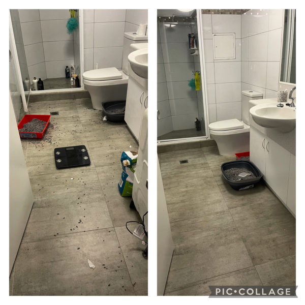 Gold Coast Professional Cleaning Service