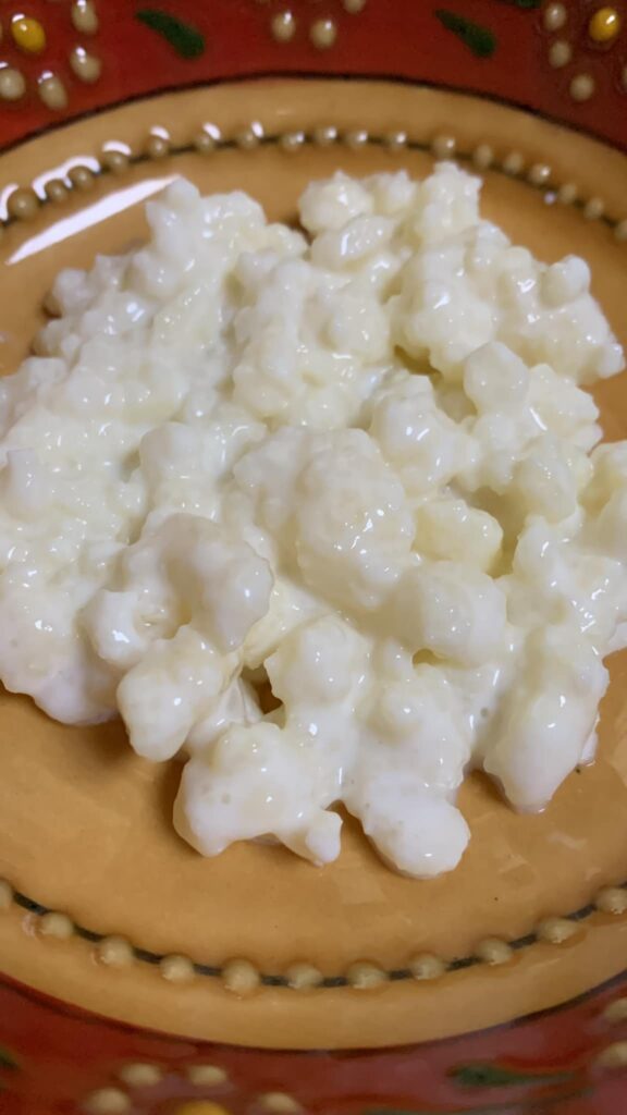 Kefir grains – supporting gut health