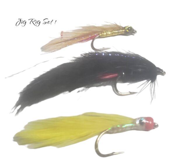 Set of Jig Rigs for Lake Fishing (5)